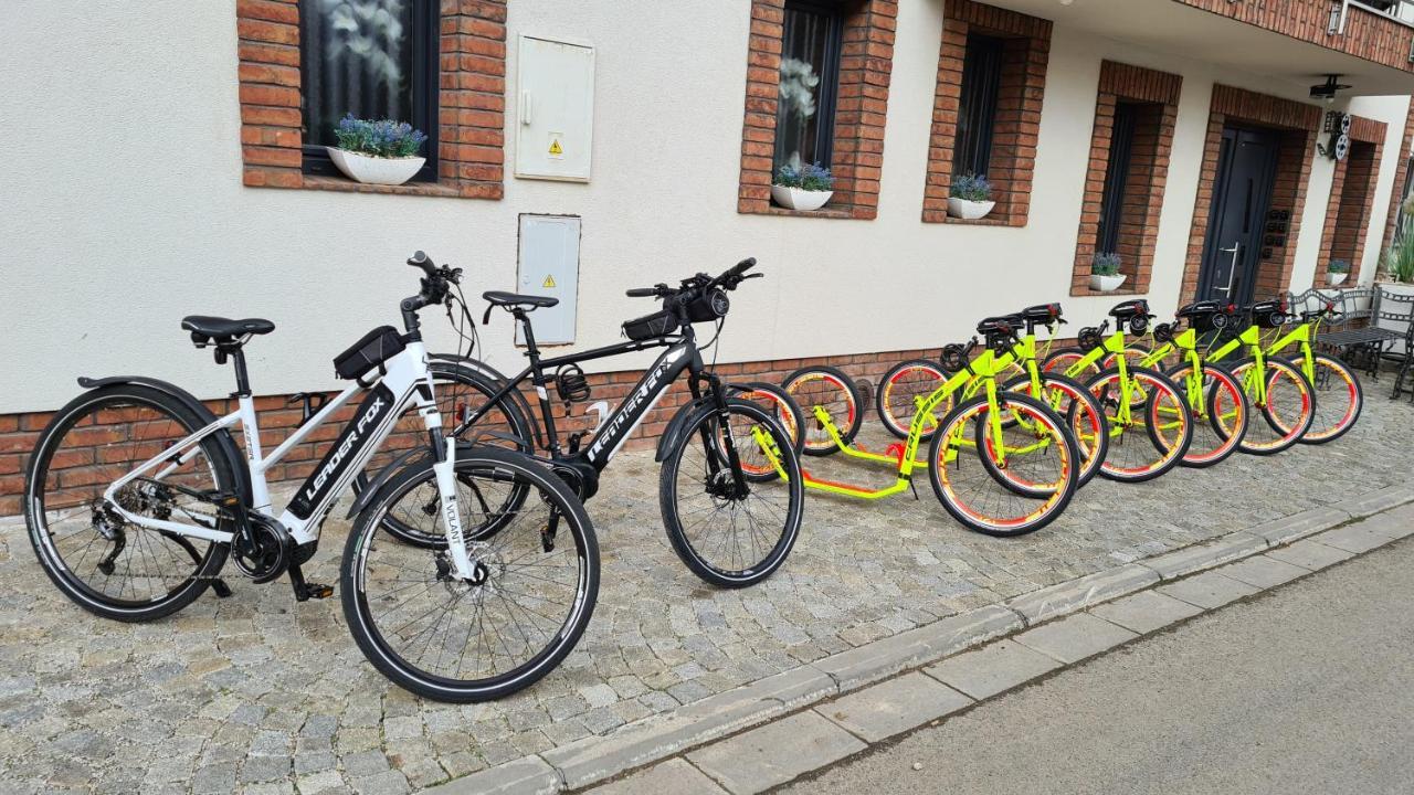 Penzion U Hada Velke Pavlovice Exterior photo