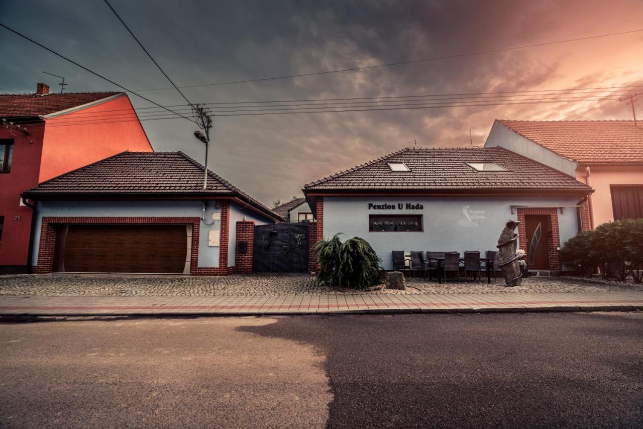Penzion U Hada Velke Pavlovice Exterior photo